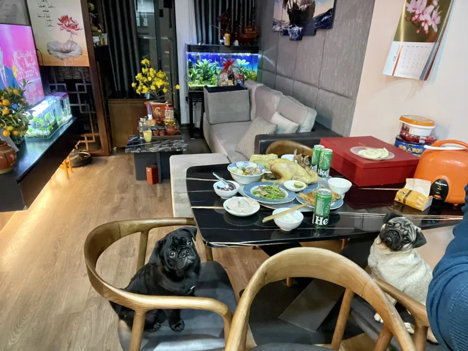 Chiến